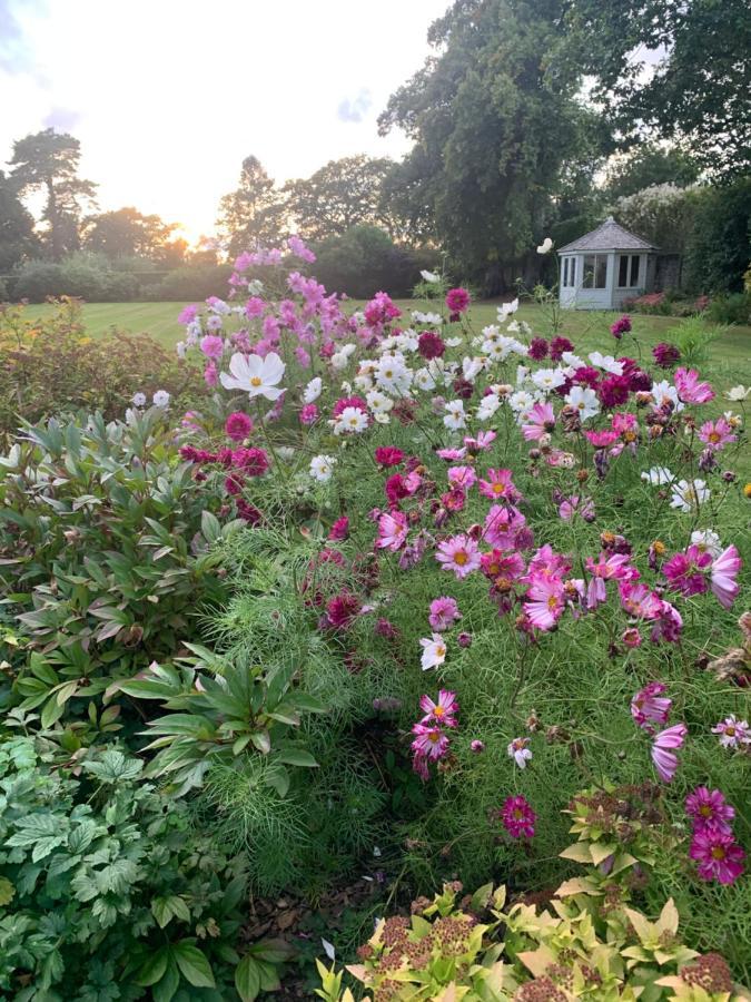 Bed and Breakfast Dalton House Exterior foto
